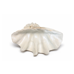 Conchiglia porta ostriche